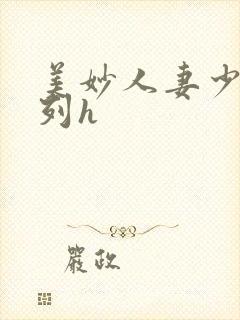 美妙人妻少妇系列h