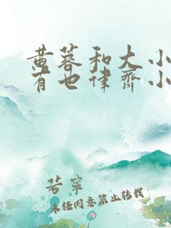 黄蓉和大小武还有也律齐小说