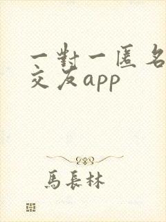 一对一匿名聊天交友app