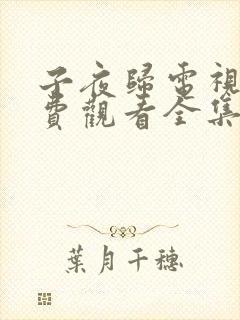 子夜归电视剧免费观看全集27