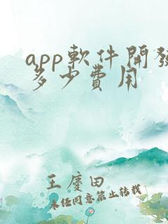 app软件开发多少费用