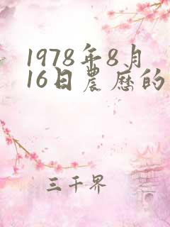 1978年8月16日农历的八字