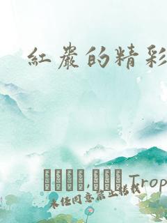 红岩的精彩情节