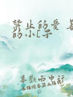 禁止的爱 善良的小[子