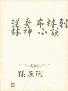 从哥布林到哥布林神 小说