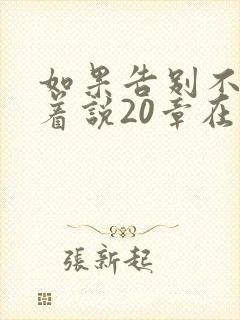 如果告别不能笑着说20章在线阅读