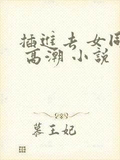 插进去 女同事 高潮 小说