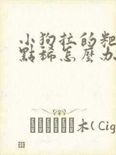 小狗拉的粑粑有点稀怎么办