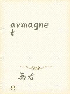 avmagnet