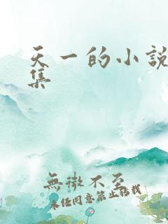 天一的小说作品集