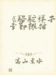 《骆驼祥子》各章节概括