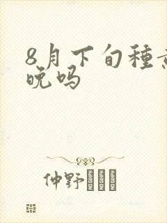 8月下旬种黄瓜晚吗