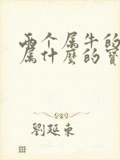 两个属牛的人生属什么的宝宝好