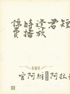 锦时逢君短剧免费播放