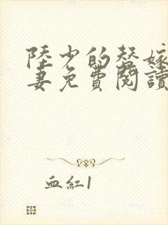 陆少的替嫁小娇妻免费阅读