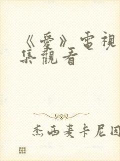 《爱》电视剧全集观看
