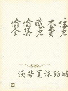 偷偷藏不住在线全集免费免费