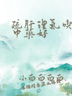 疏肝理气吃什么中药好