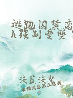 逃跑囚禁脔到哭h强制爱双男主