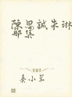 陈思诚朱琳接吻哪集