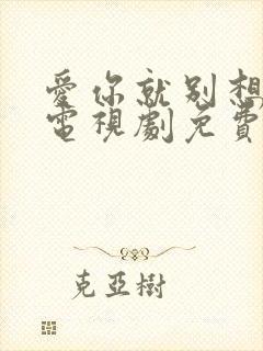 爱你就别想太多电视剧免费观看全集