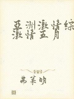 亚洲激情综合网激情五月