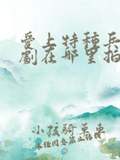 爱上特种兵电视剧在哪里拍的 爱上特种兵电视剧在哪里拍的