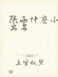 陕西什么小吃最出名