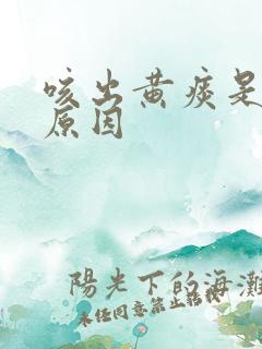 咳出黄痰是什么原因