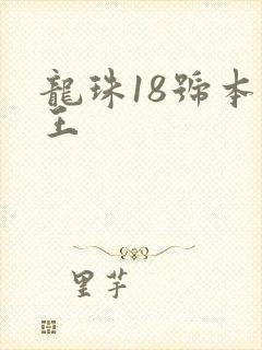 龙珠18号本子王