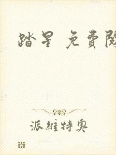 踏星 免费阅读