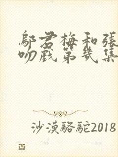 邬君梅和张鲁一吻戏第几集