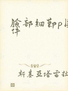 脸部细节p图软件