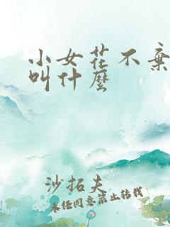 小女花不弃男二叫什么 小女花不弃男二叫什么