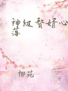 神级赘婿心意零落
