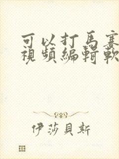 可以打马赛克的视频编辑软件