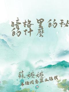 暗格里的秘密讲的什么