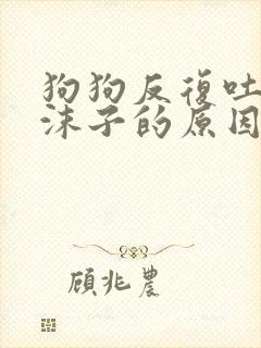狗狗反复吐白色沫子的原因