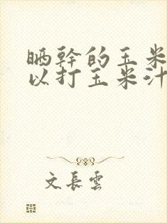 晒干的玉米粒可以打玉米汁吗