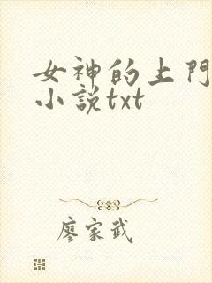 女神的上门豪婿小说txt