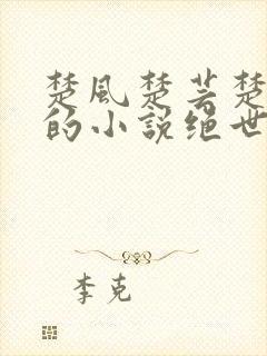 楚风楚芸楚鸿飞的小说绝世神皇