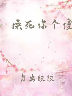 操死你个傻逼