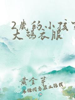 2岁的小孩穿多大码衣服