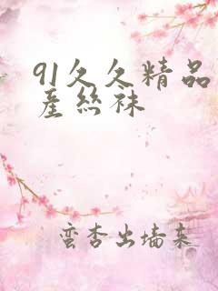 91久久精品国产丝袜