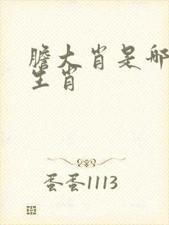 胆大肖是哪几个生肖 胆大肖是哪几个生肖
