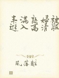 丰满熟妇被猛烈进入高清版
