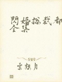 闪婚总裁都很穷全集