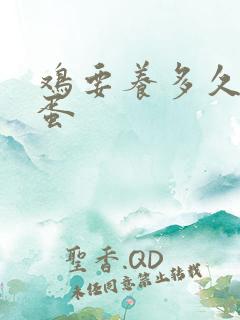 鸡要养多久才下蛋