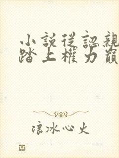 小说从认亲开始踏上权力巅峰完本免费阅读