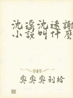 沈瑶沈远谢子臣小说叫什么名字